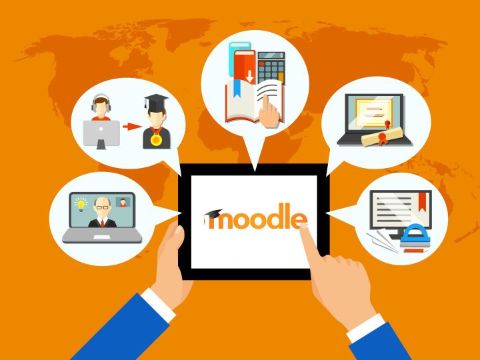 Образовательный портал